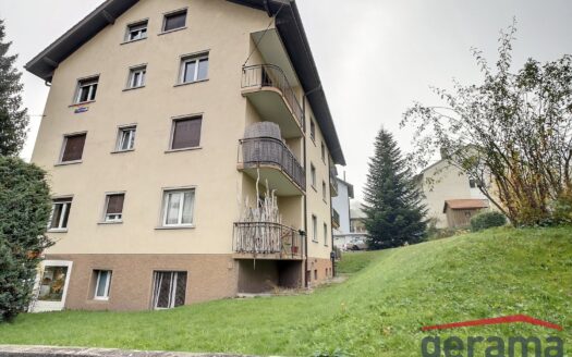 Appartement 2.5 pièces au rez