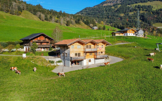 Chalet de 3 appartements en duplex avec une magnifique vue