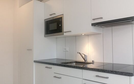 Appartements 1.5 pièce à louer