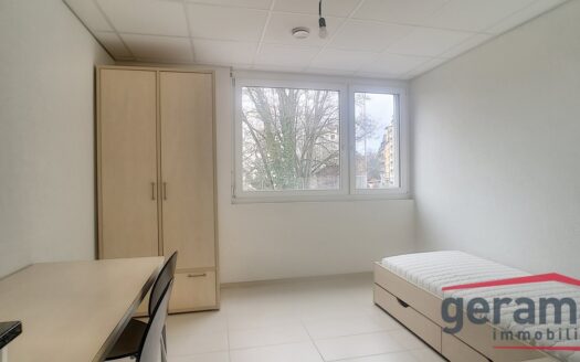 Appartements 1.5 pièce à louer