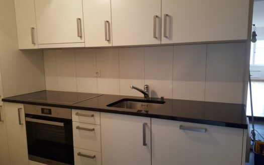 Charmant 2.5 pièces rénovée – Vieille Ville