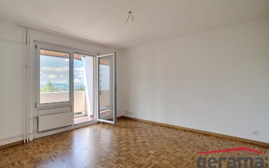Appartement 2.5 pièces à louer