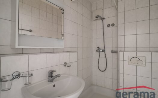Appartement 2.5 pièces à louer