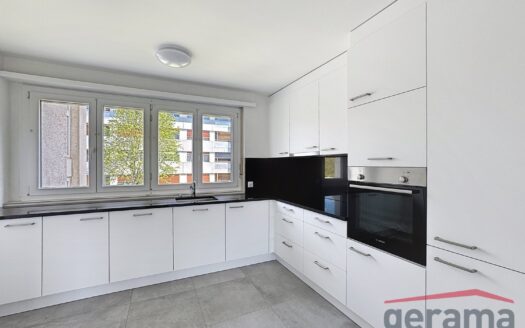 Appartement rénové 3.5 pièces au 1er