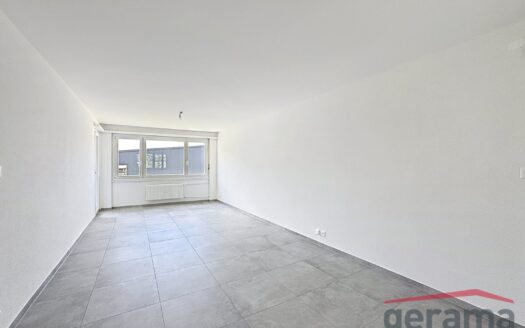 Appartement rénové 3.5 pièces au 1er