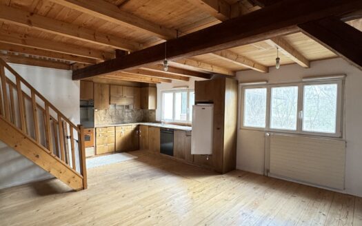 Charakteristisches Bauernhaus mit 3 Wohnungen