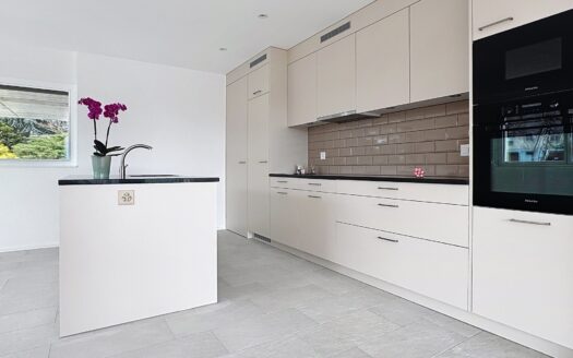 LA VUE D’AMONT – MATRAN PPE de 3 appartements de 5.5 pces
