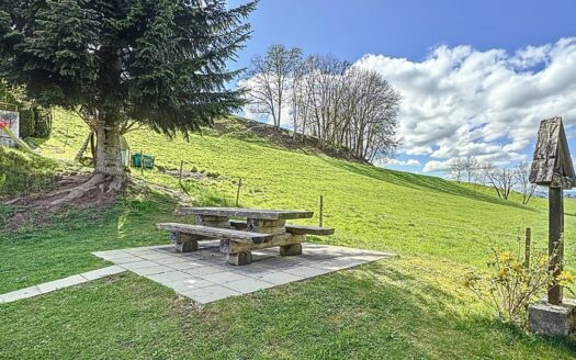LIBRE DE SUITE ! Appartement de 4.5 pces avec Terrasse et jardin