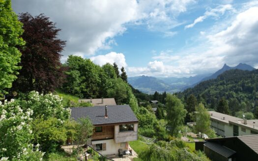 Magnifique chalet à vendre à Moléson