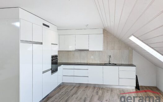 Duplex 4.5 pièces