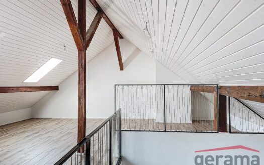 Duplex 4.5 pièces