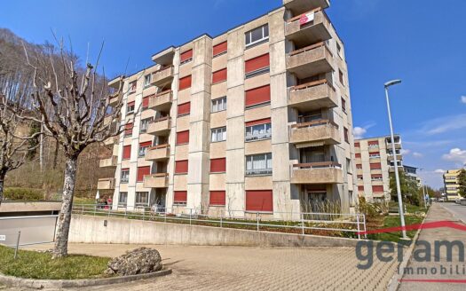 Appartement 1.0 pièce au rez