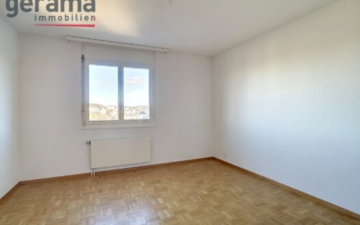 Appartement de 4.5 pièces avec terrasse