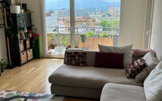 Magnifique 4.5 pièces moderne et lumineux