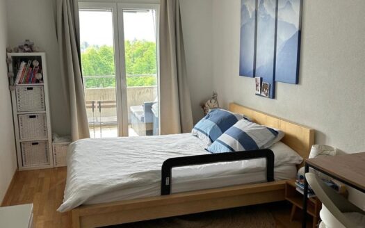 Magnifique 4.5 pièces moderne et lumineux