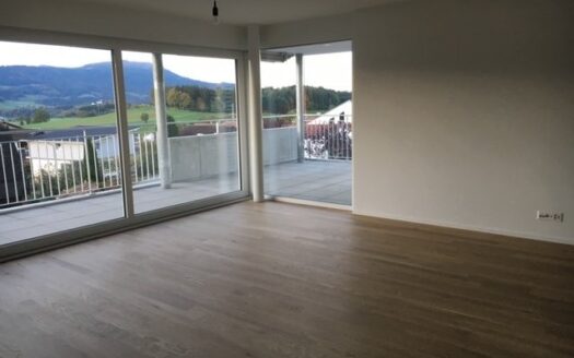 Schöne 4.5 Zimmerwohnung im Erdgeschoss !