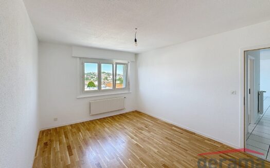 3.5 pièces à louer au Schoenberg