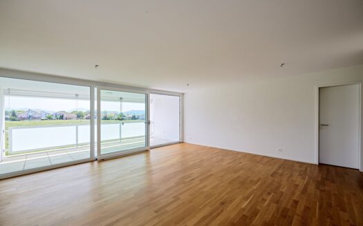 Morderne, helle 4.5 Zimmer-Wohnung in Tentlingen