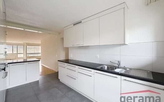 Appartement 4.5 pièces au 5ème