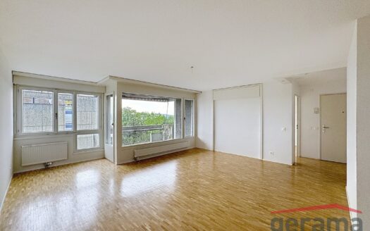 Appartement 4.5 pièces au 5ème