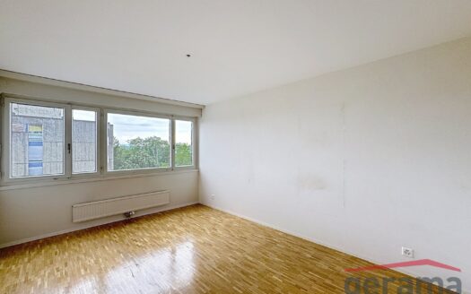 Appartement 4.5 pièces au 5ème