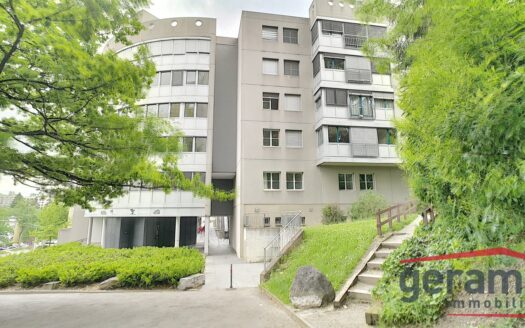 Appartement de 4.5 pièces à Mon-Repos