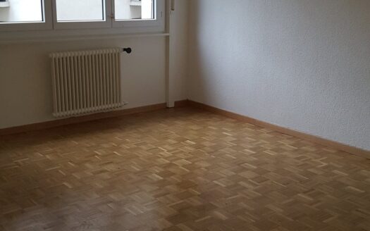 Joli studio à Fribourg !