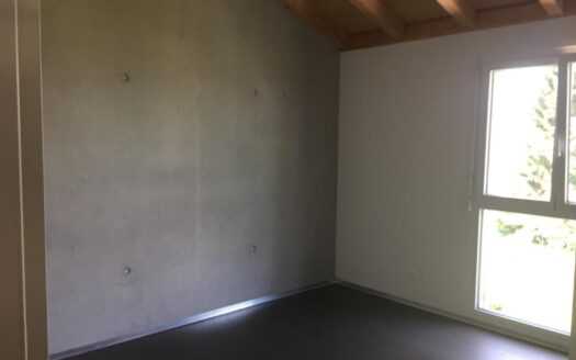 4.5 Zimmer-Doppeleinfamilienhaus in Rechthalten