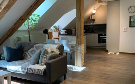 Charmant appartement de 3.5 pièces à Fribourg