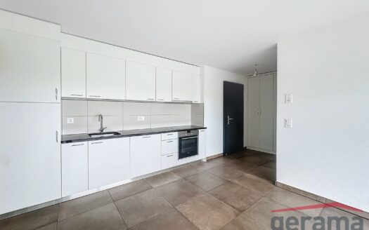 Appartement 2.5 au rez