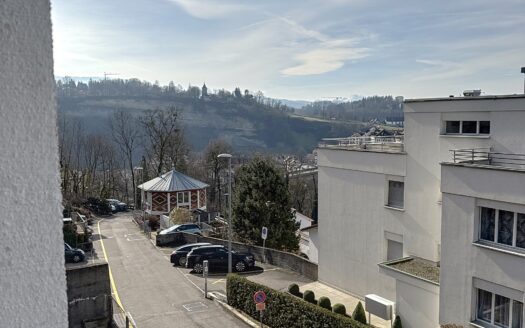 Très bel appartement rénové de 5.0 pièces Avec vue sur la Cathédrale