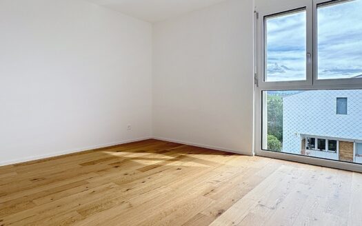 Sehr schönes 5.5-Zimmer-Attikawohnung mit herrlicher Aussicht