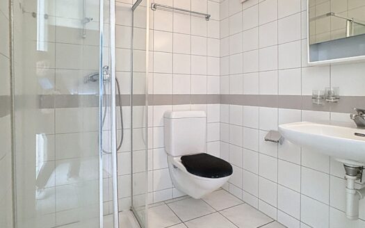 LIBRE DE SUITE ! Appartement de 4.5 pces avec Terrasse et jardin