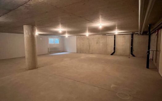 Dépôt de 155 m2 dans le quartier du Schönberg
