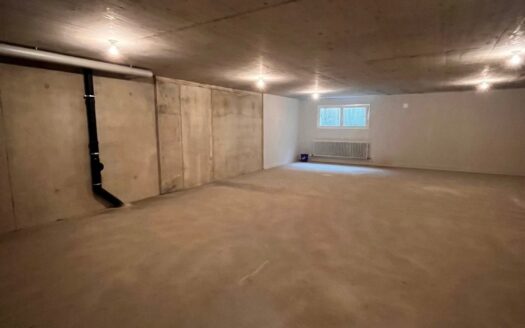Dépôt de 155 m2 dans le quartier du Schönberg
