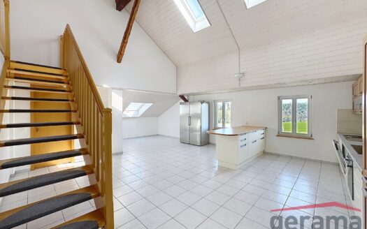 Spacieux 6.5 pièces de 184 m2 au 1er étage
