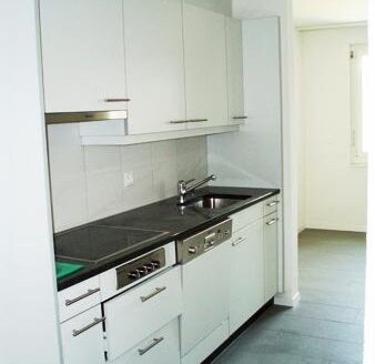 Appartement 3,5 pièces au Givisiez