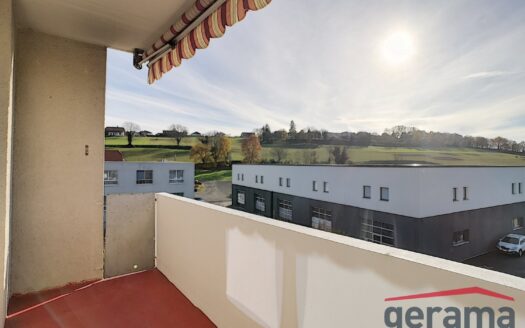 Charmante 4.5 Zimmer-Wohnung in Courgevaux