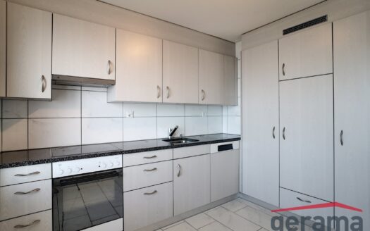 Appartement 3.5 pièces au 1er étage