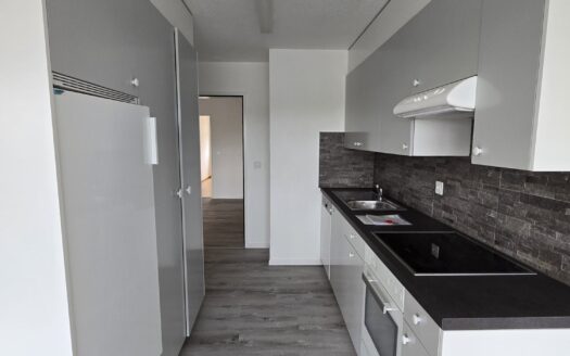 Schöne 3.5 Zimmerwohnung in Schmitten
