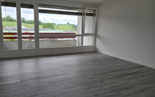 Schöne 3.5 Zimmerwohnung in Schmitten