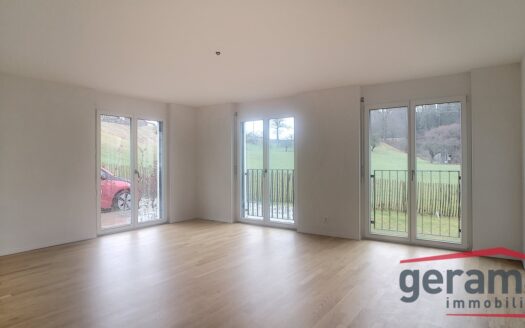 Moderne 3.5 Zimmerwohnung in Schmitten