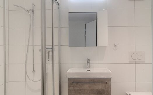 Moderne 3.5 Zimmerwohnung in Schmitten