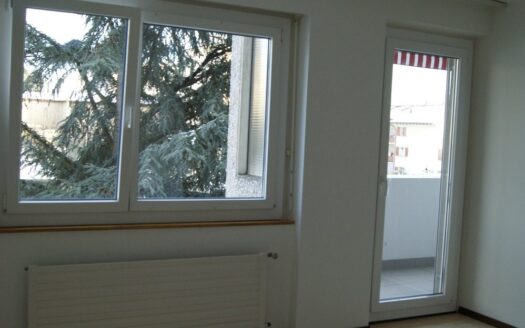Studio à Fribourg