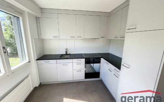 Bel appartement 3.5 pièces au rez à Tafers
