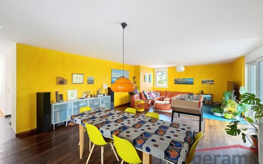 Appartement attique de 5.5 pièces avec belle vue