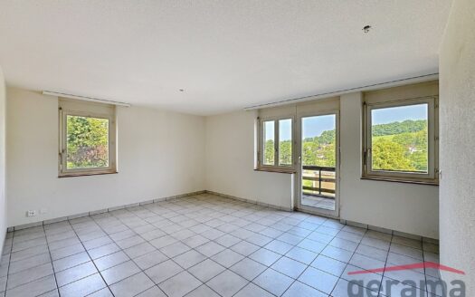 Appartement 3.5 pièces au 1er