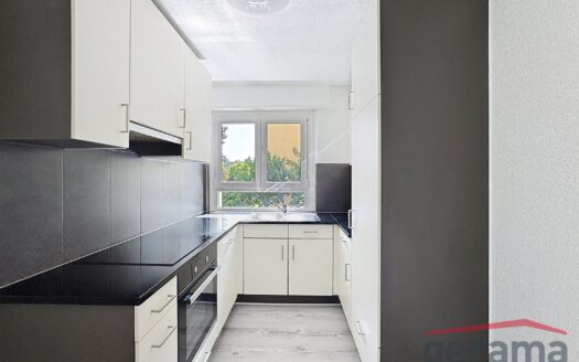 Appartement 3.5 pièces au 1er étage