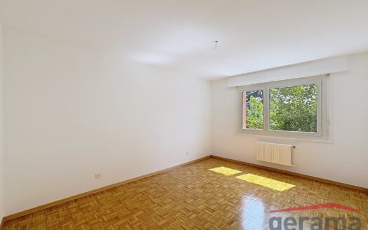 Appartement 3.5 pièces au 1er étage