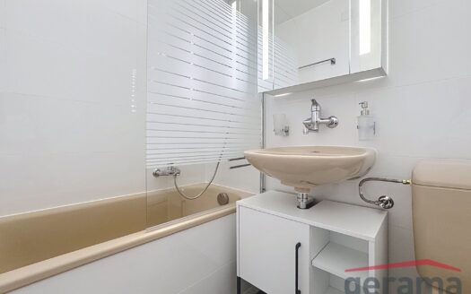 Appartement 3.5 pièces au 1er étage